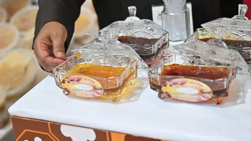 Ninth Jazan Honey Festival showcased the thriving world of beekeeping